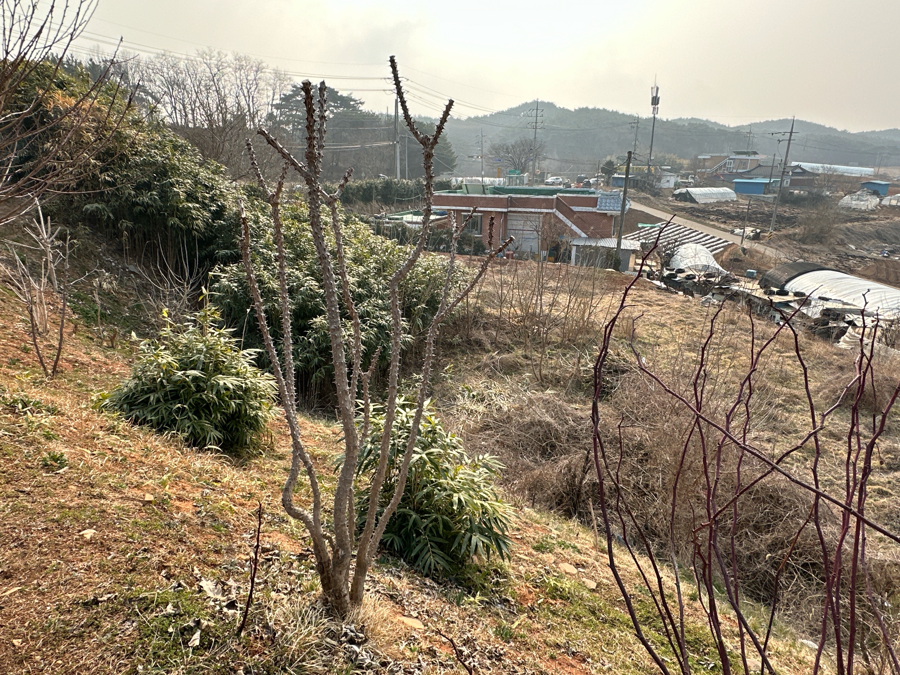 자산 이미지