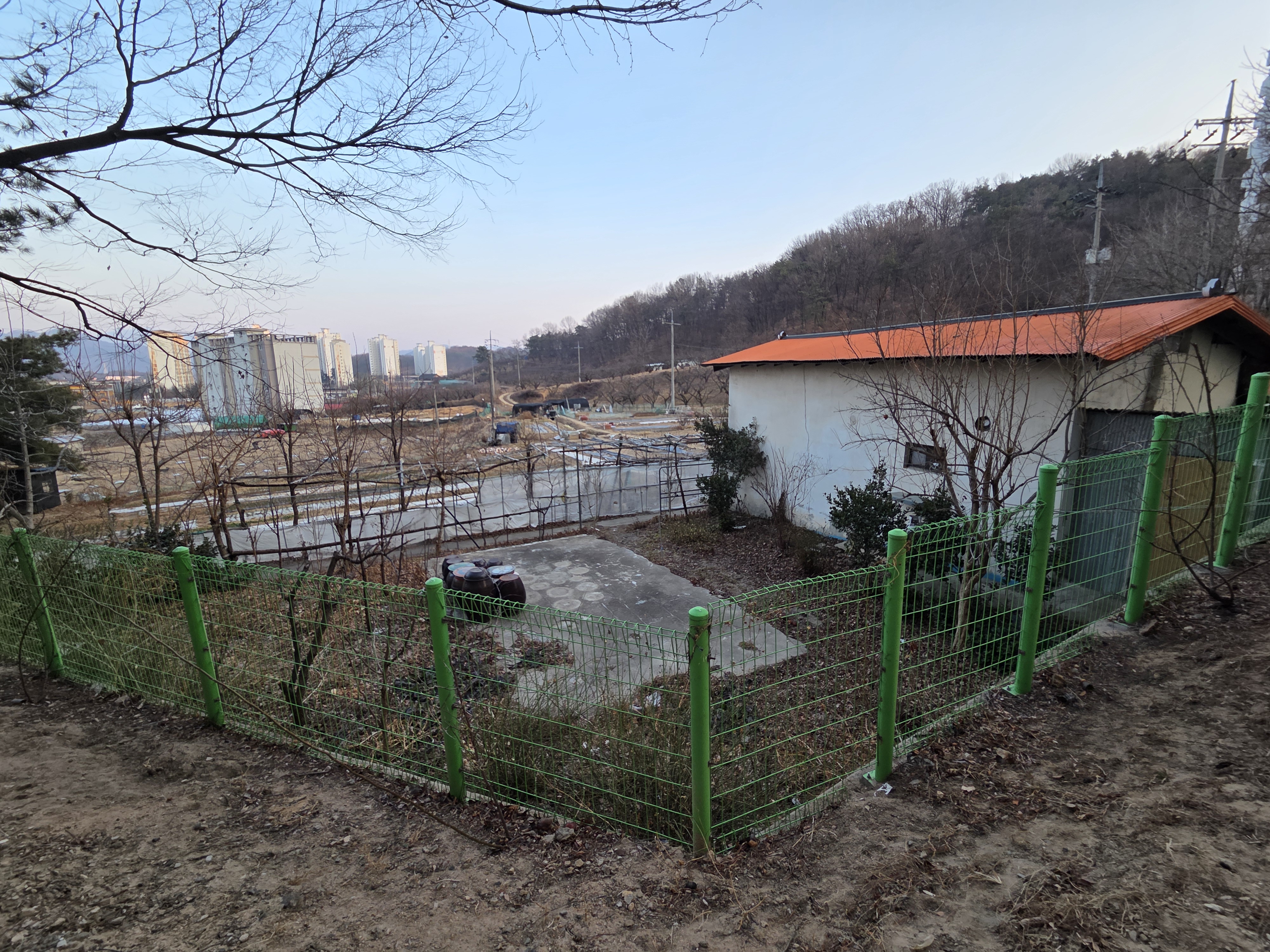 자산 이미지