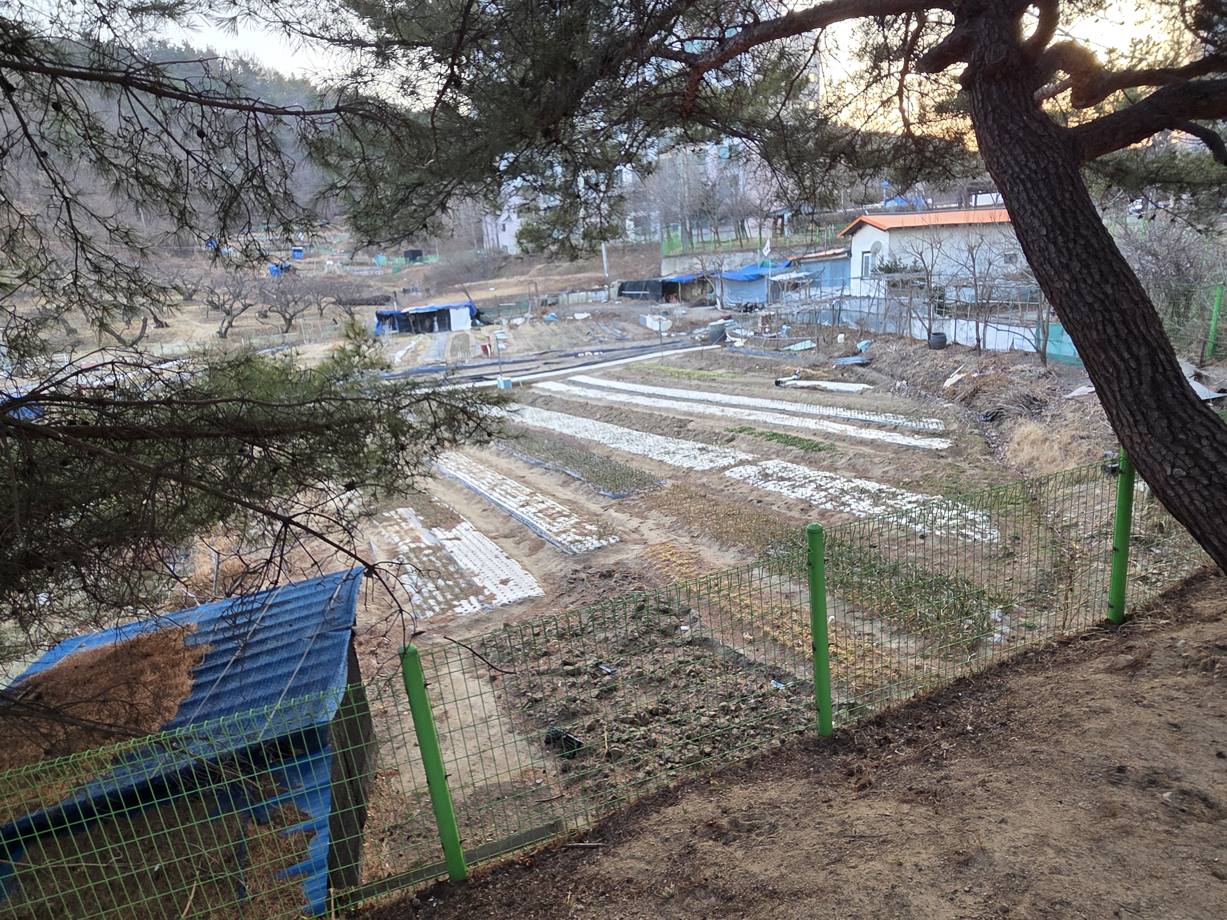 자산 이미지