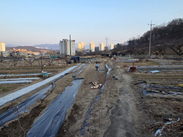 경북 김천시 덕곡동 농지