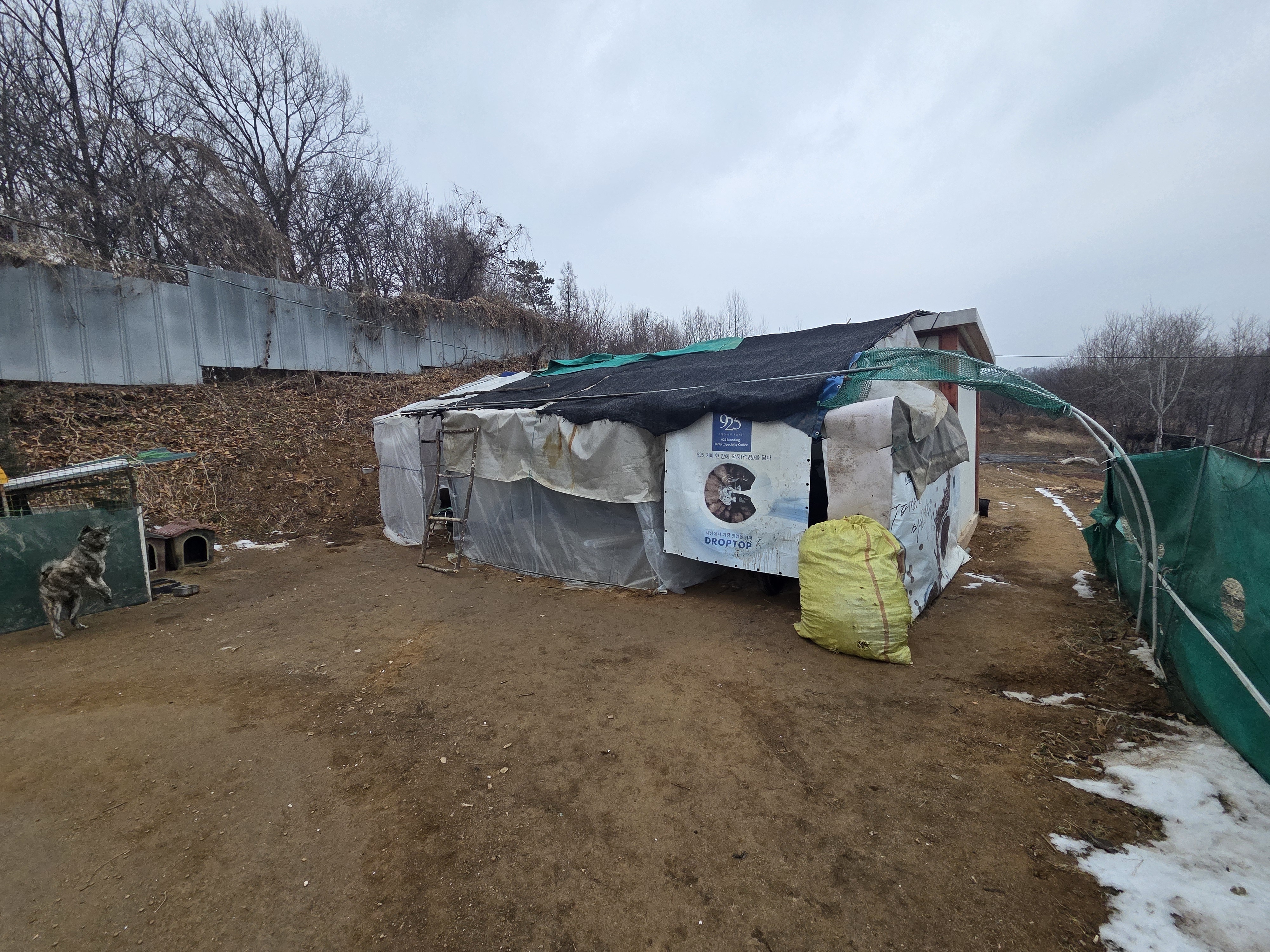자산 이미지