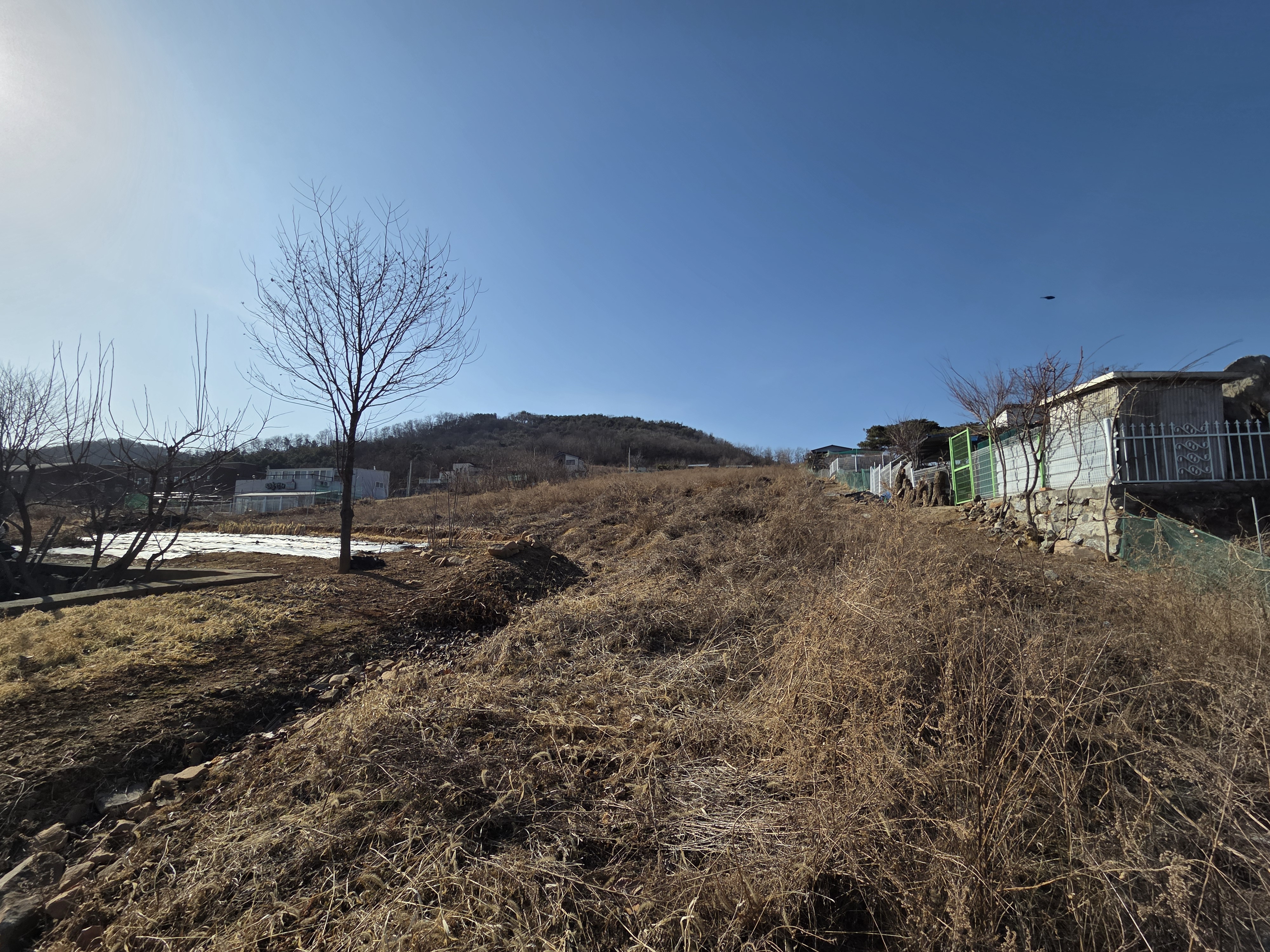 자산 이미지