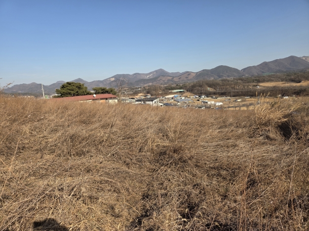 충북 제천시 강제동, 신월동 대지