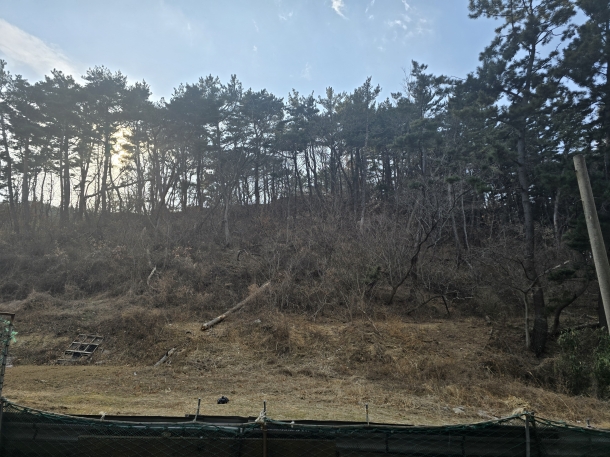 경상북도 평해읍 직산리 소재 토지