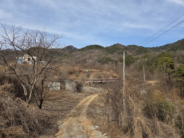 경북 김천시 양천동 임야 외