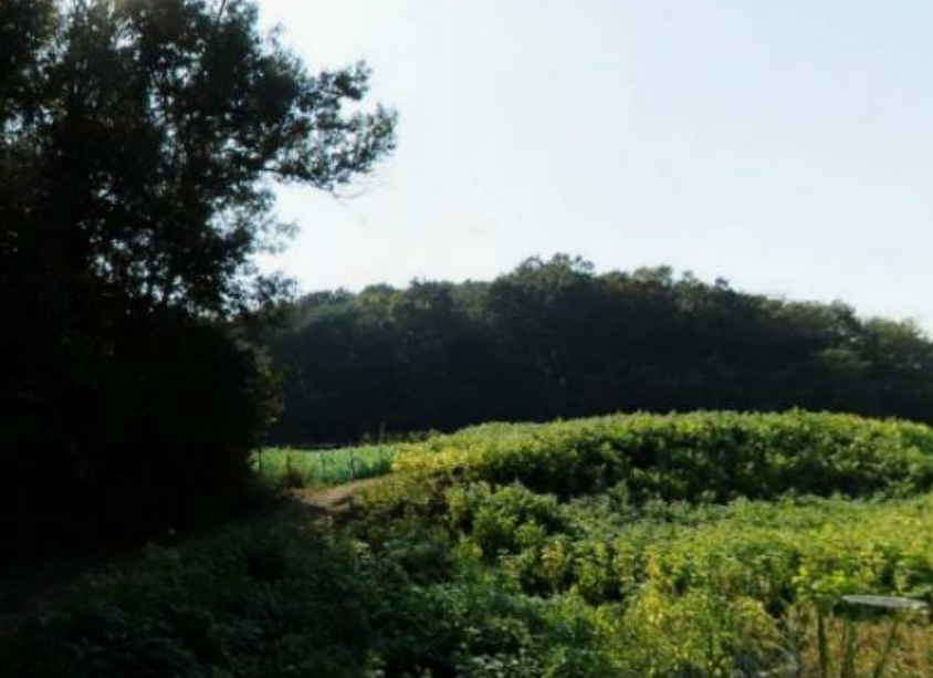 자산 이미지