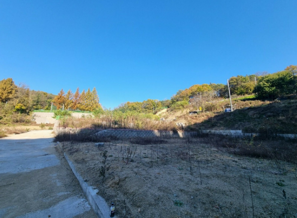 경상북도 안동시 안막동 14-1 외 4필지