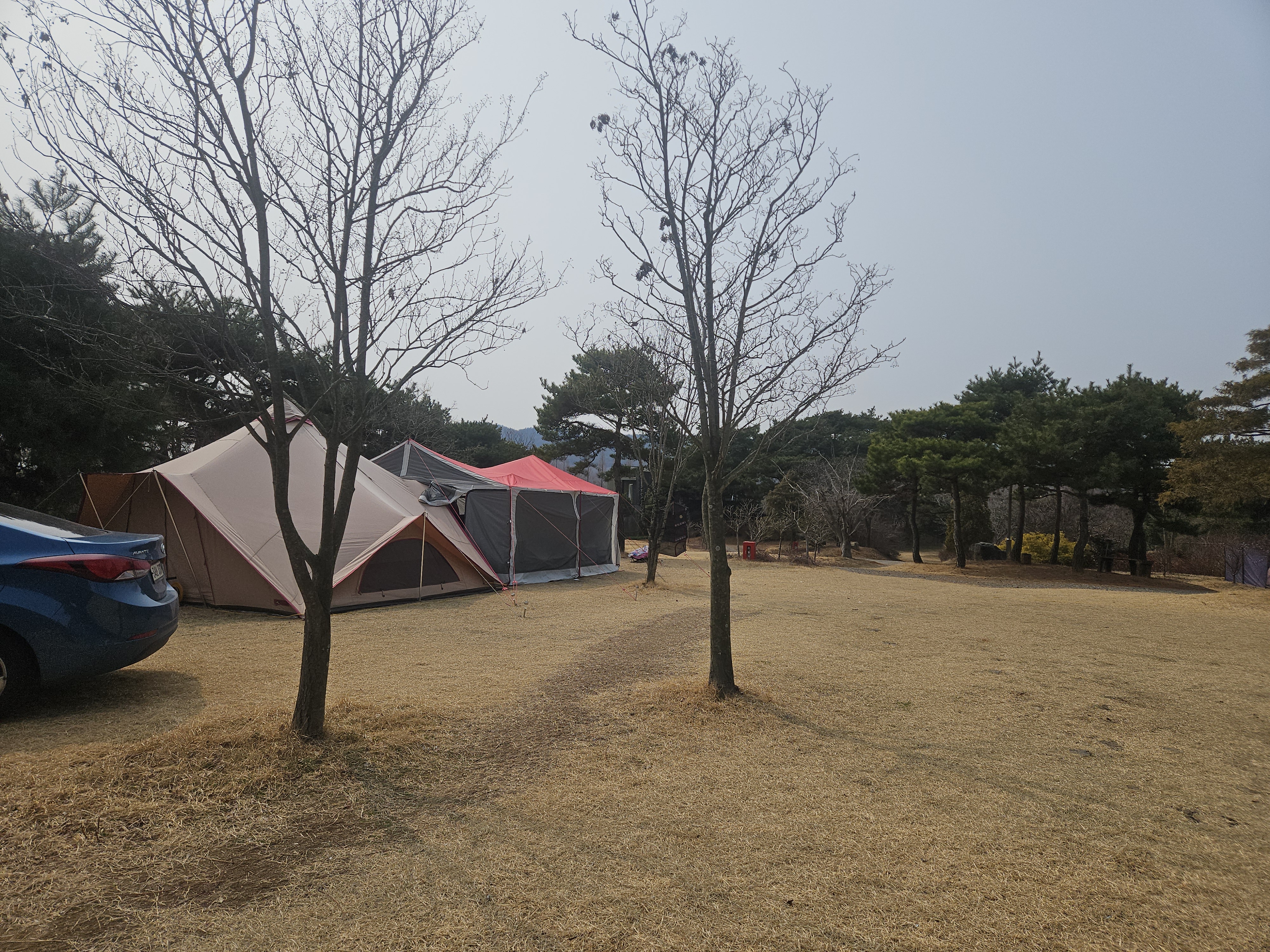 자산 이미지