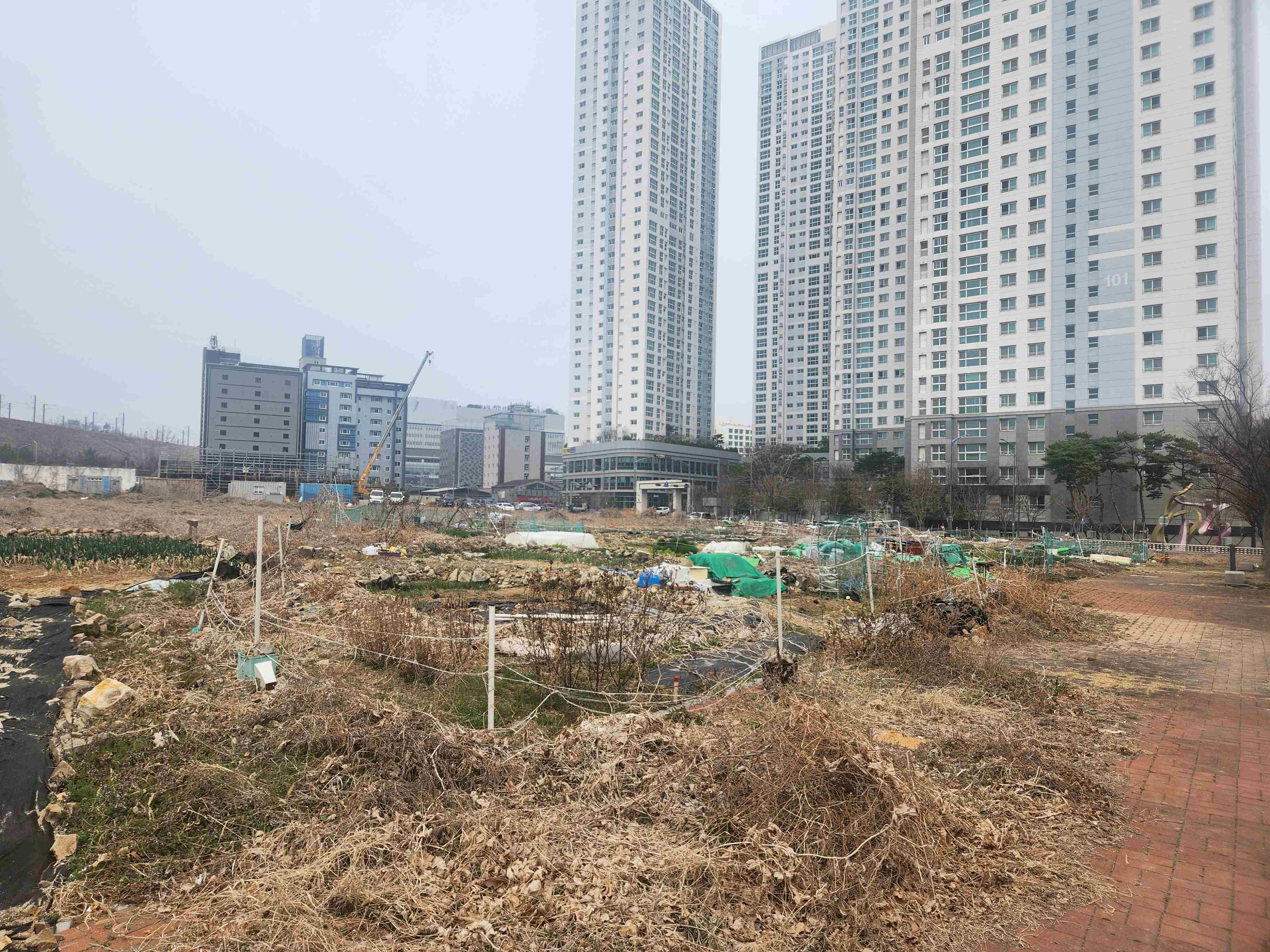 자산 이미지